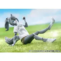 Gray Wolf Model Kit