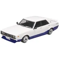 1/24 Scale Model Kit - Shakotan★Boogie