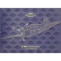 1/48 Scale Model Kit - Fighter aircraft model kits / Curtiss P-40 Warhawk