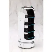 1/6 Scale Model Kit - BellaBot