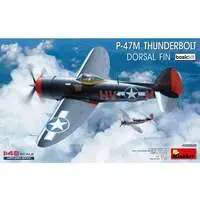 1/48 Scale Model Kit - Fighter aircraft model kits / P-47 Thunderbolt