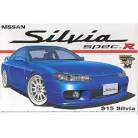 1/24 Scale Model Kit - The Best Car GT