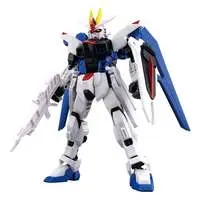 Gundam Models - MOBILE SUIT GUNDAM SEED / Freedom Gundam