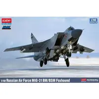 1/48 Scale Model Kit - Fighter aircraft model kits / MiG-31