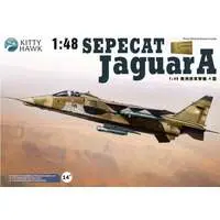 1/48 Scale Model Kit - Fighter aircraft model kits / SEPECAT Jaguar