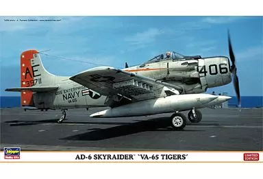1/72 Scale Model Kit - Attack aircraft