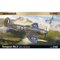 1/48 Scale Model Kit - Fighter aircraft model kits / Hawker Tempest