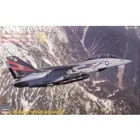 1/48 Scale Model Kit - PT Series / F-14