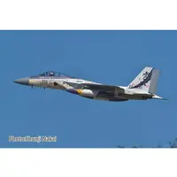 1/72 Scale Model Kit - Japan Self-Defense Forces / McDonnell Douglas F-15 Eagle