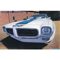 1/24 Scale Model Kit - Pontiac