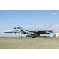 1/72 Scale Model Kit - Japan Self-Defense Forces / McDonnell Douglas F-15 Eagle