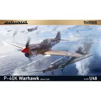 ProfiPACK - 1/48 Scale Model Kit - Fighter aircraft model kits / Curtiss P-40 Warhawk