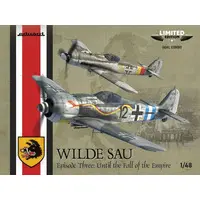 1/48 Scale Model Kit - Fighter aircraft model kits / Focke-Wulf Fw 190