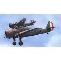 1/72 Scale Model Kit - Attack aircraft / Caproni AP.1