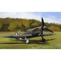 1/72 Scale Model Kit - Fighter aircraft model kits / Caproni Vizzola F.6