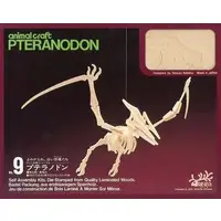 Plastic Model Kit - Dinosaur Model Kits