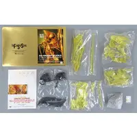1/100 Scale Model Kit - The Five Star Stories