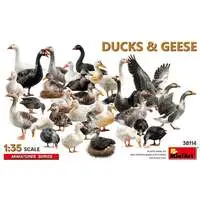 1/35 Scale Model Kit - People/Animals