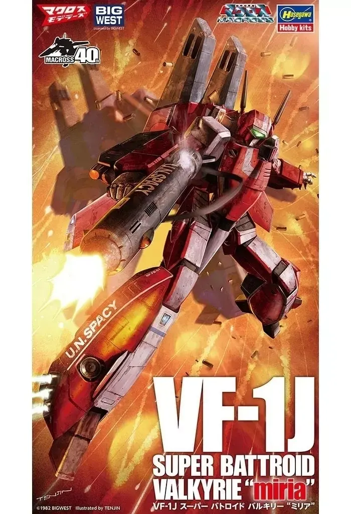 1/72 Scale Model Kit - Super Dimension Fortress Macross / VF-1J