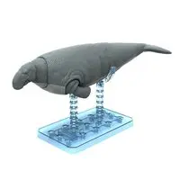 Planosaurus - Dinosaur Model Kits