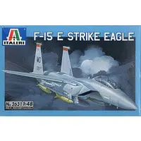 1/48 Scale Model Kit - Fighter aircraft model kits / F-15 Strike Eagle