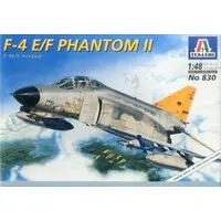 1/48 Scale Model Kit - Fighter aircraft model kits / F-4