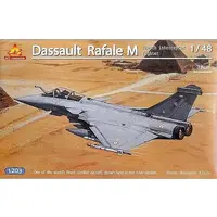 1/48 Scale Model Kit - Fighter aircraft model kits / Dassault Rafale