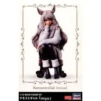 1/12 Scale Model Kit - People/Animals