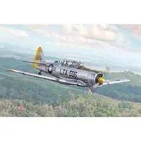 1/48 Scale Model Kit - Trainer aircraft / North American T-6 Texan