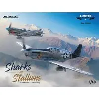 1/48 Scale Model Kit - Fighter aircraft model kits / North American P-51 Mustang & Curtiss P-40 Warhawk