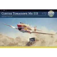 1/72 Scale Model Kit - Fighter aircraft model kits / Curtiss P-40 Warhawk