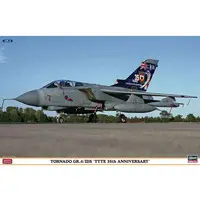 1/72 Scale Model Kit - Attack aircraft / Panavia Tornado IDS