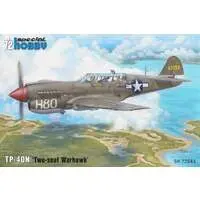 1/72 Scale Model Kit - Fighter aircraft model kits / Curtiss P-40 Warhawk