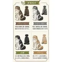 1/12 Scale Model Kit - People/Animals / Scottish Fold