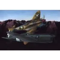 1/48 Scale Model Kit - Fighter aircraft model kits