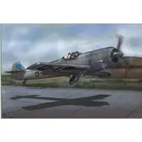 1/48 Scale Model Kit - Fighter aircraft model kits / Messerschmitt Bf 109
