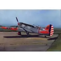 1/48 Scale Model Kit - Fighter aircraft model kits